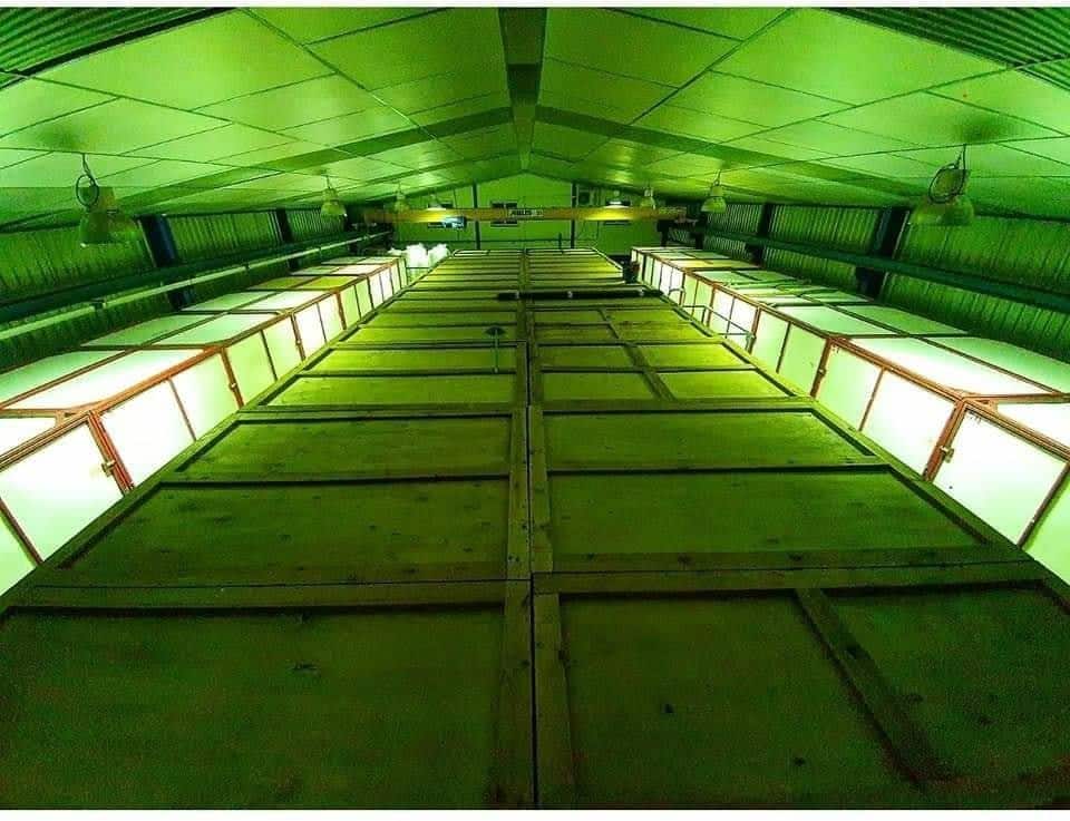 almacenamiento en guardamuebles Granada